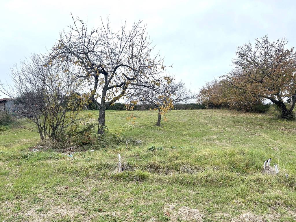 Terreno a Casperia in Località Querceto - Foto 4