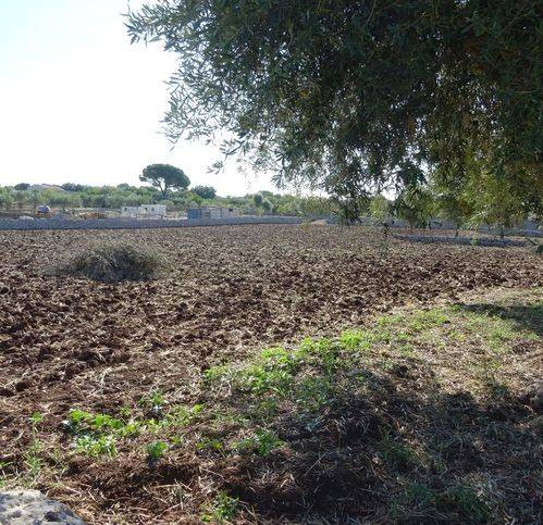 Terreno a Modica in Via Loreto Gallinara 1481 - Foto 2