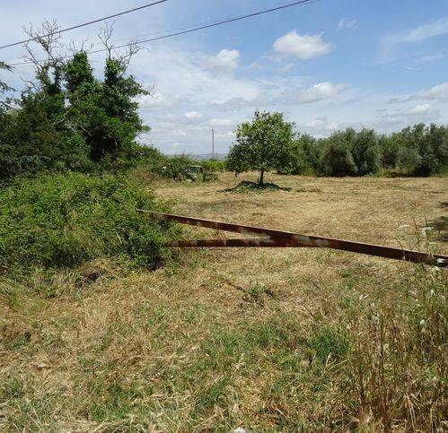Terreno a Modica in Via Modica Giarratana 458 - Foto 4