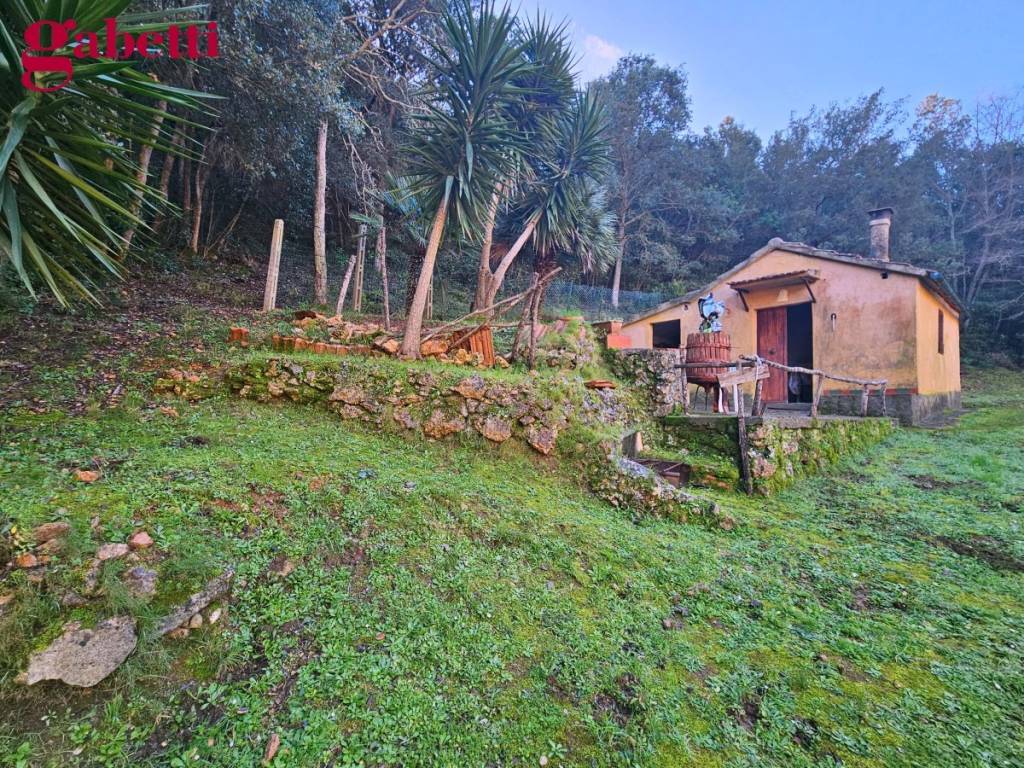 Immobile a Monte argentario in Strada Provinciale Panoramica Porto Santo Stefano - Foto 5