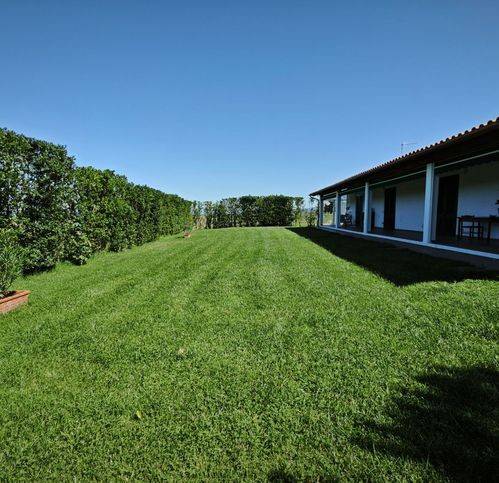 Terreno a Grosseto in Strada Provinciale Barbaruta - Foto 2