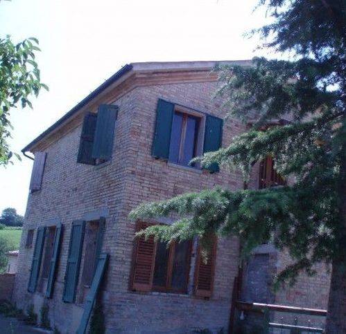 Rustico / casale a Rapagnano in Strada Provinciale 72 - Foto 3