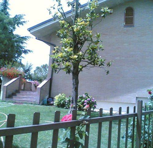 Villa a Fermo in Strada Ete Vivo 1 - Foto 3