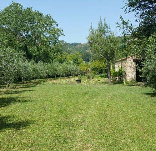 Rustico / casale a Fermo in Camera 1 - Foto 2