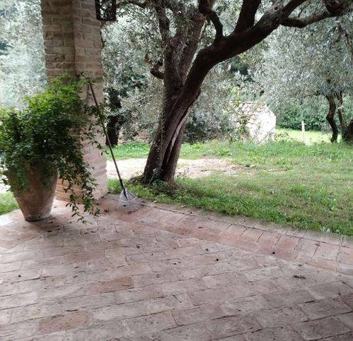 Rustico / casale a Fermo in Camera 1 - Foto 5