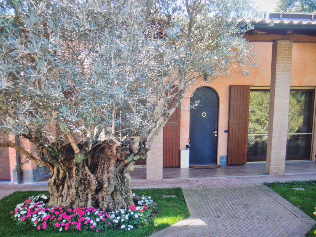 Villa a Pieve fissiraga in Via Bruxelles, 2 - Foto 2