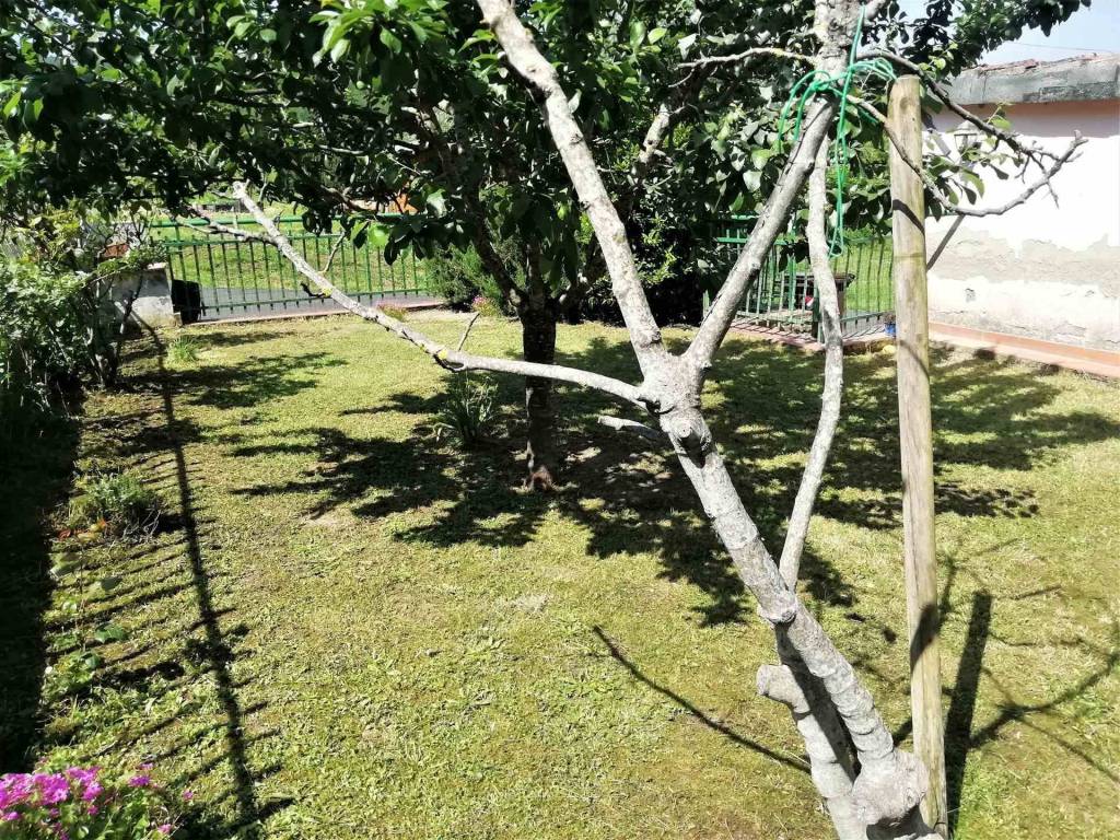 Casa indipendente a Vicchio - Foto 2