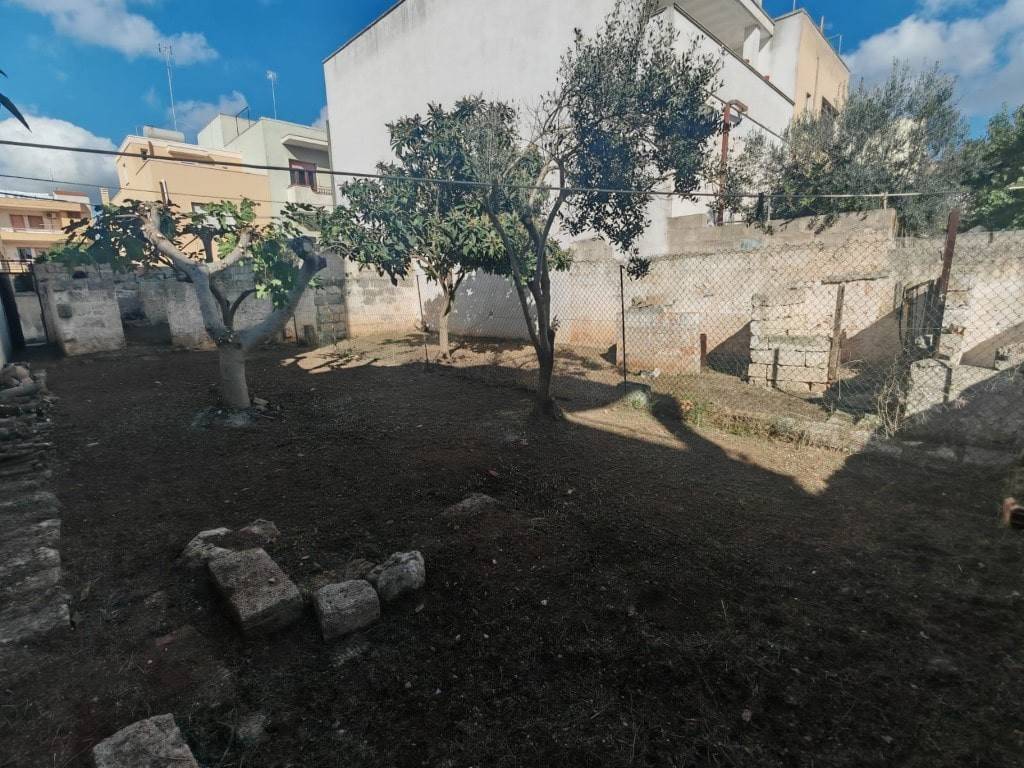 Terreno a Taurisano in via Vittorio Veneto, - Foto 5