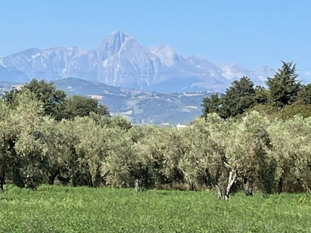 Rustico / casale a Roseto degli abruzzi in Via Leonardo da Vinci, 2 - Foto 4