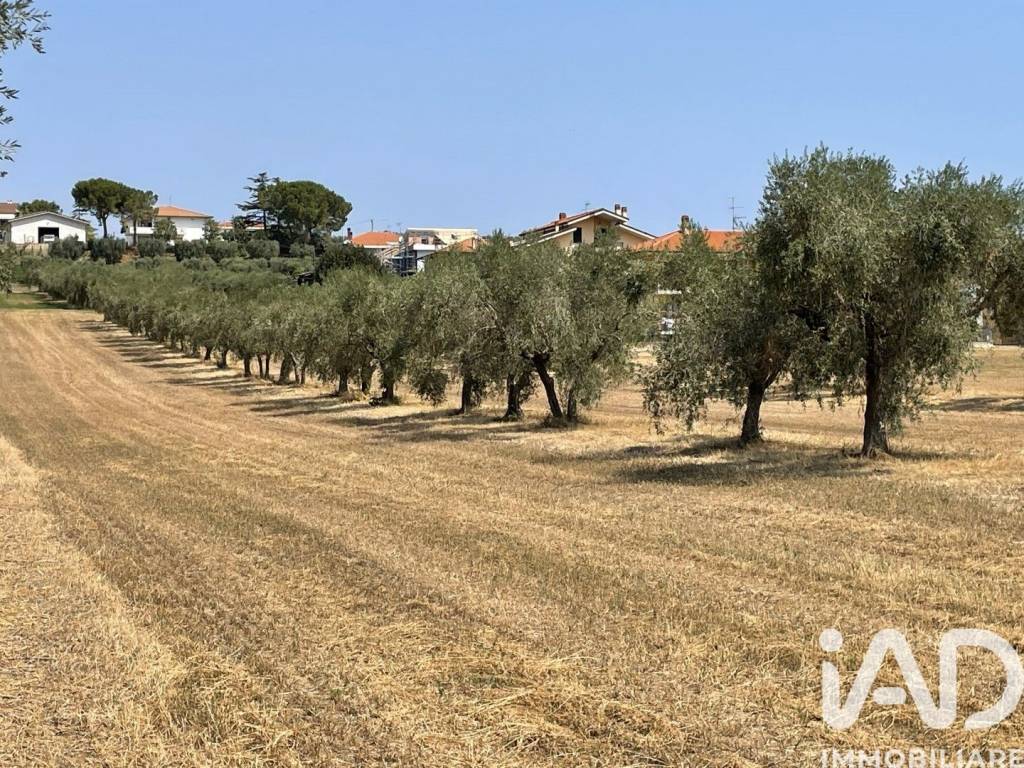 Rustico / casale a Roseto degli abruzzi in Via Leonardo da Vinci, 2 - Foto 5