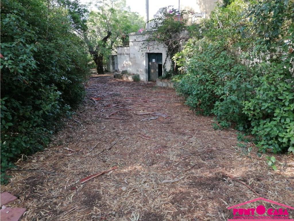 Rustico / casale a Ostuni in Strada Provinciale per Cisternino - Foto 5