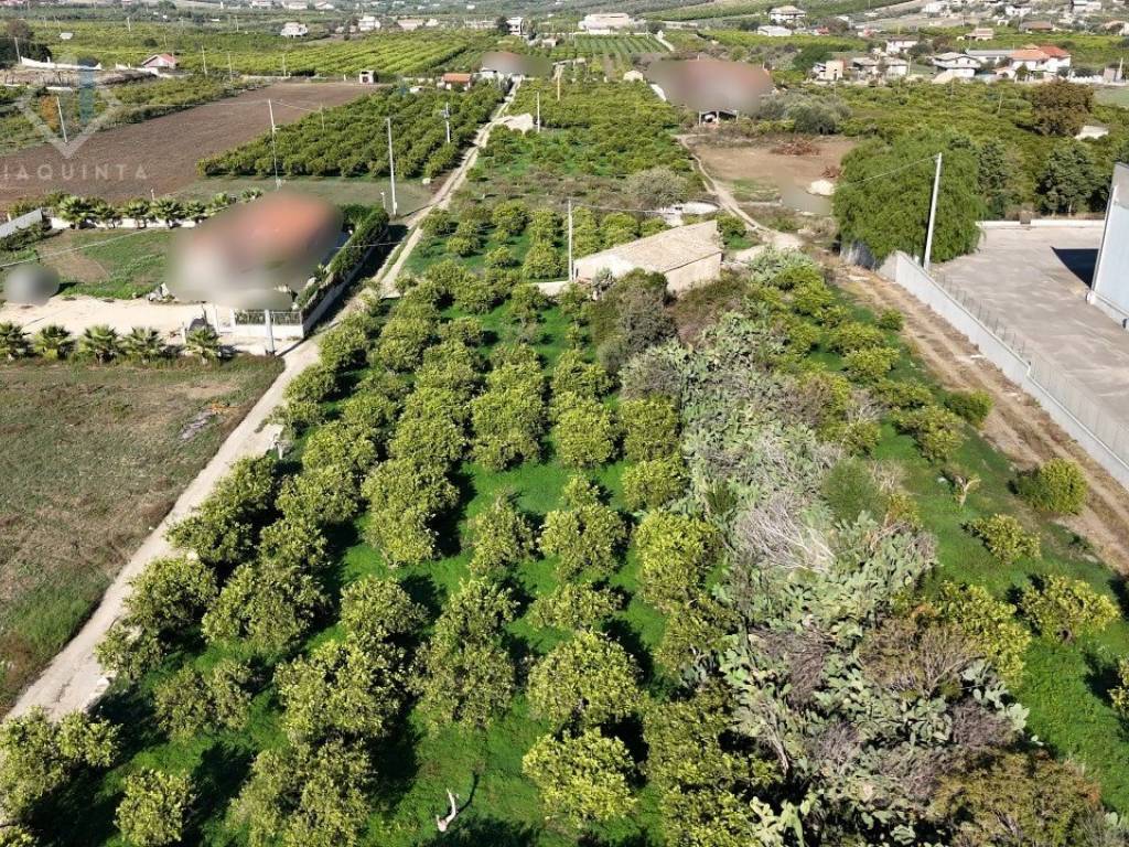 Terreno a Palagonia in Contrada Santuzza snc - Foto 2