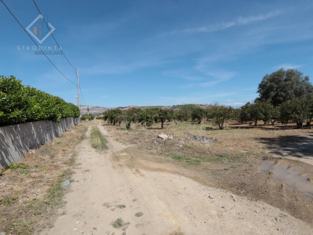 Terreno a Palagonia in Contrada Santuzza snc - Foto 4