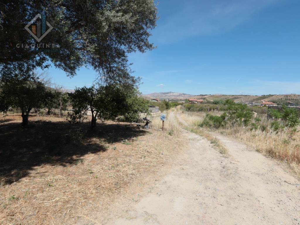 Terreno a Palagonia in Contrada Santuzza snc - Foto 5