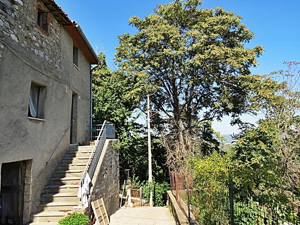Casa indipendente a San venanzo in SP109 - Foto 3