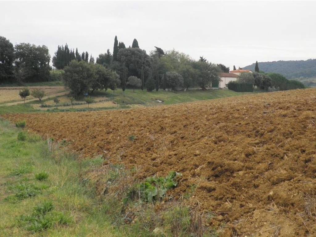 Rustico / casale a Rosignano marittimo in via Marmentana - Foto 2