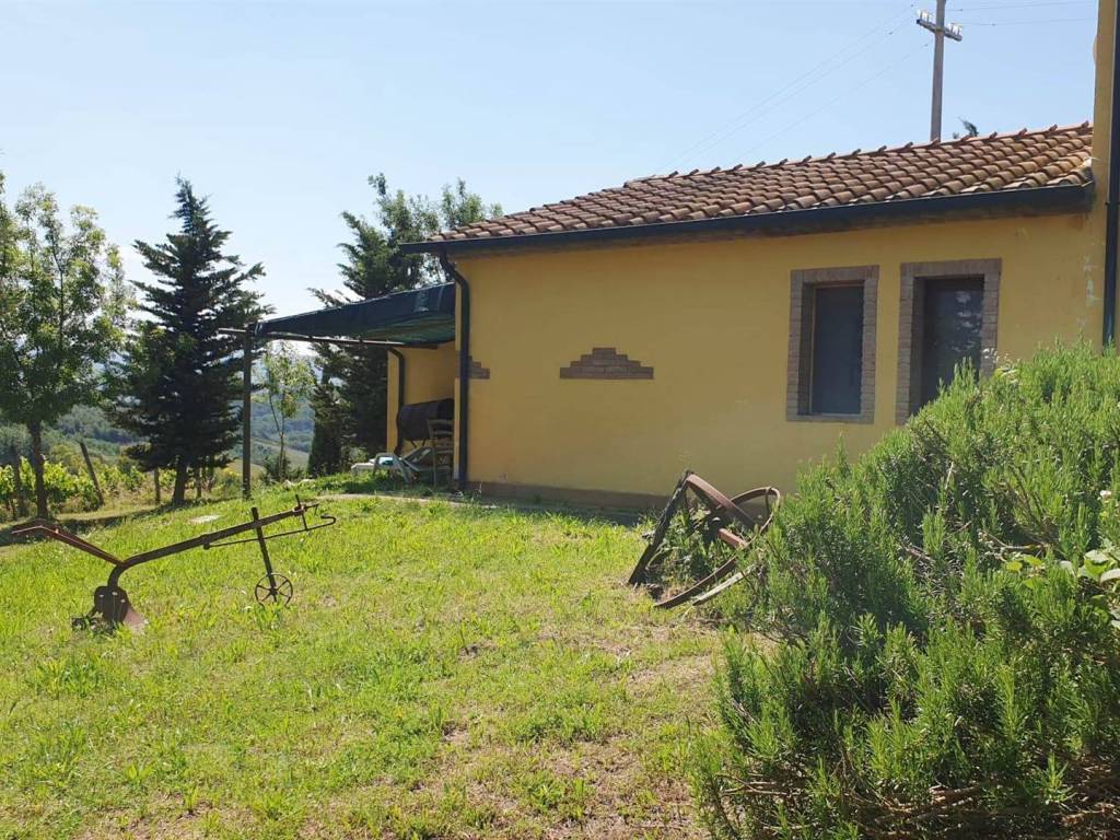 Rustico / casale a Guardistallo - Foto 4