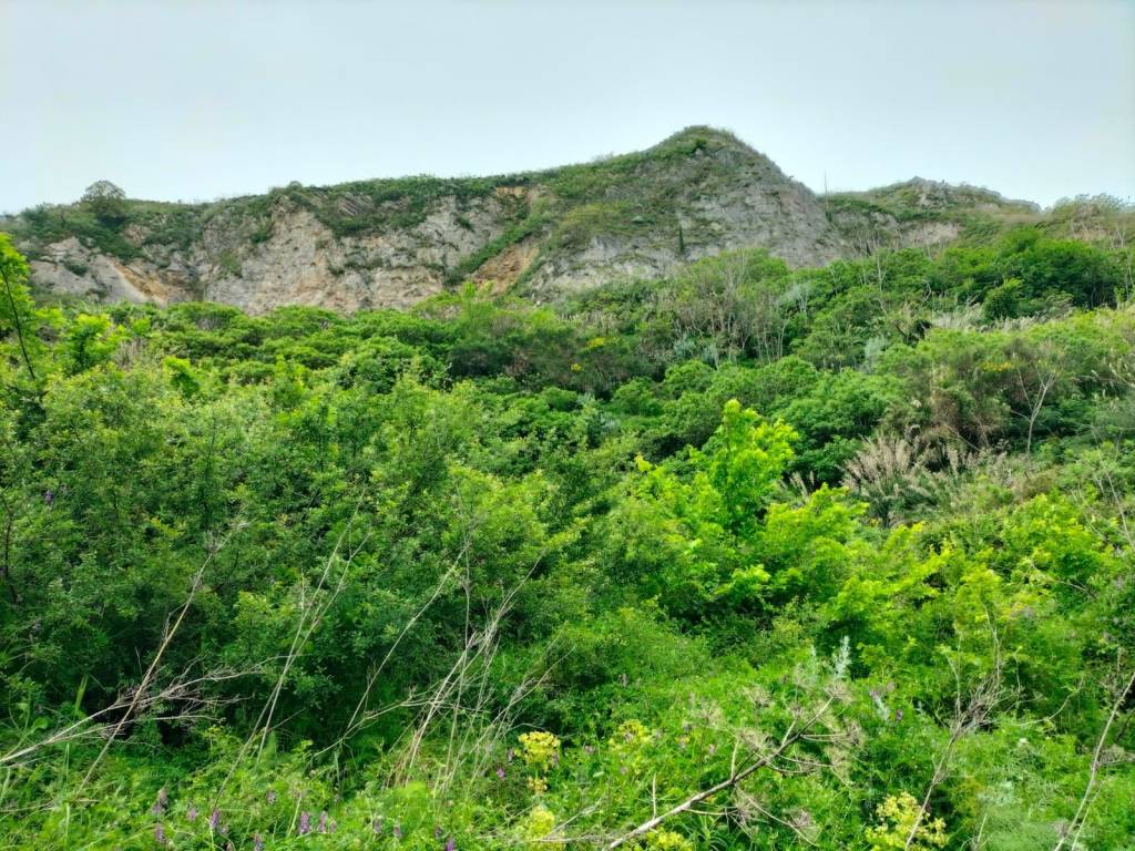 Terreno a Marineo - Foto 4