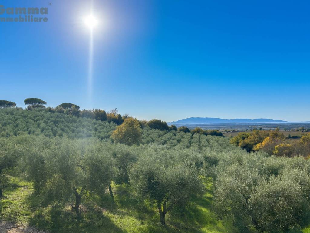 Rustico / casale a Magliano in toscana in Località Sterpeti - Foto 2