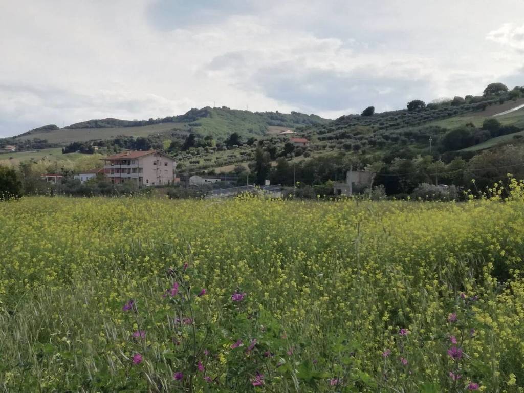 Rustico / casale a Martinsicuro - Foto 5