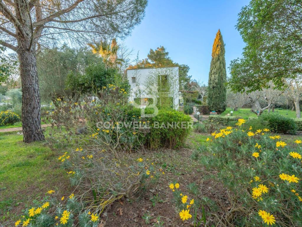 Villa a Ostuni in Contrada Chiobbica - Foto 4