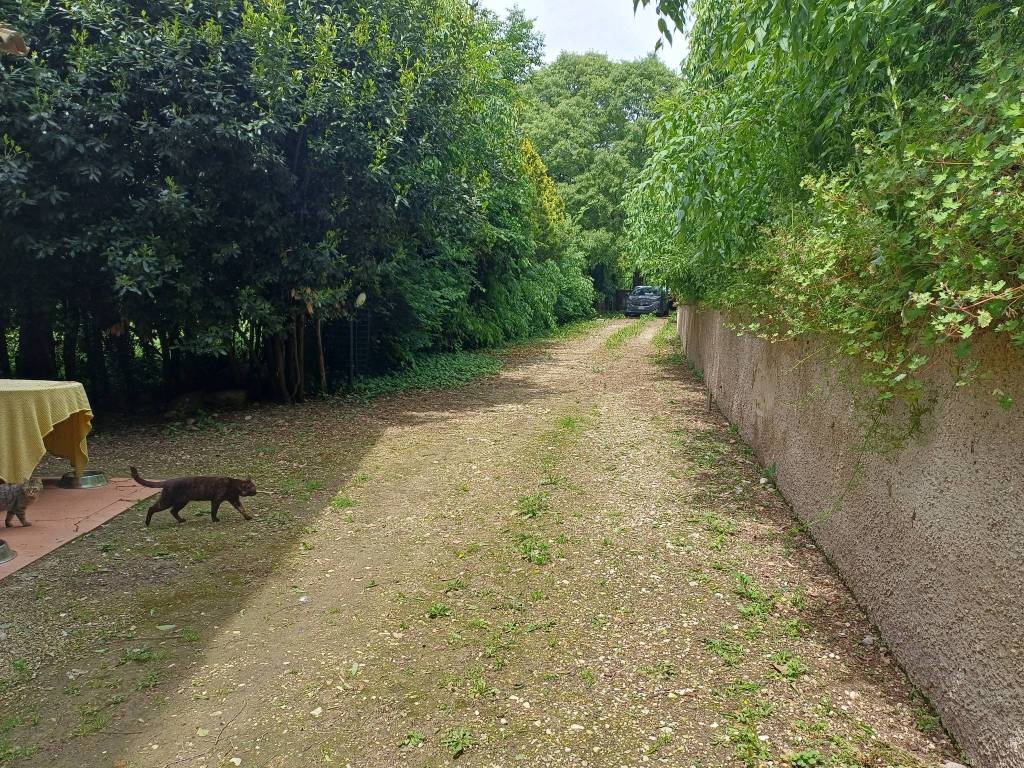 Rustico / casale a Ponti sul mincio in Strada della Colombara - Foto 3