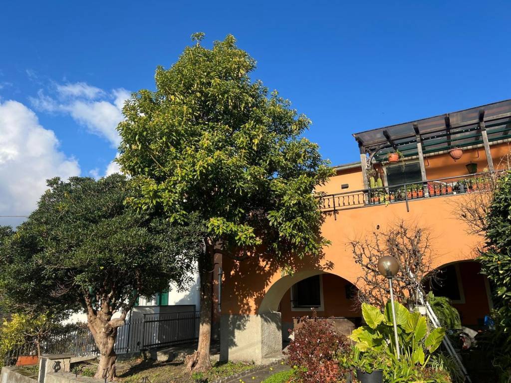 Casa indipendente a Sestri levante in Villa Libiola - Foto 2