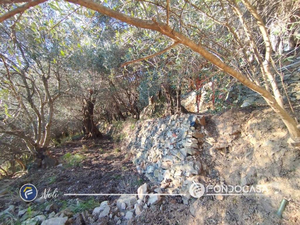 Terreno a Noli in Via Belvedere - Foto 5