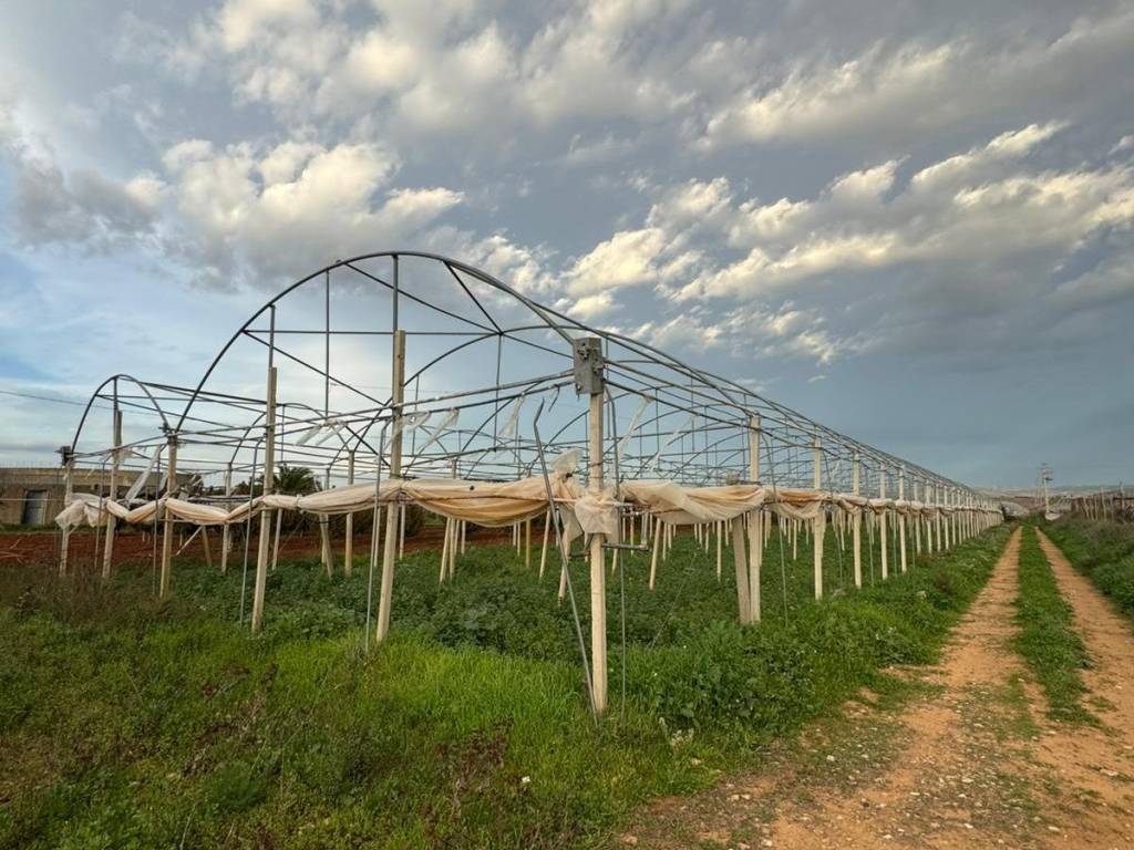 Terreno a Acate in Contrada Biddini Sottano - Foto 2