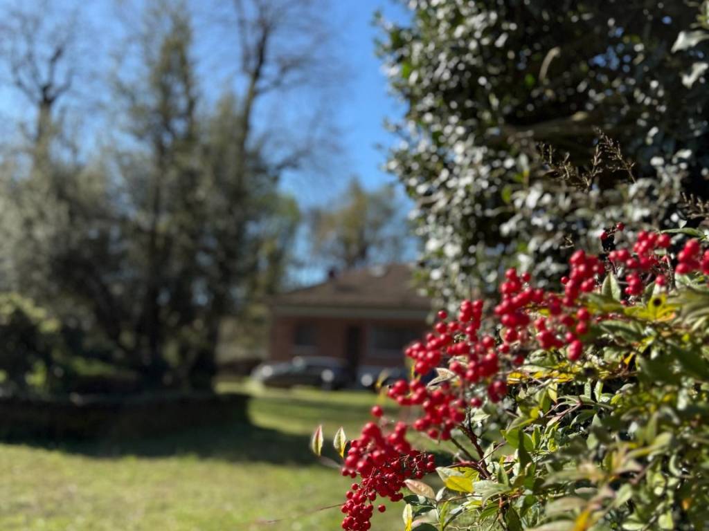 Villa a Orbassano in Strada Stupinigi, 106 - Foto 2