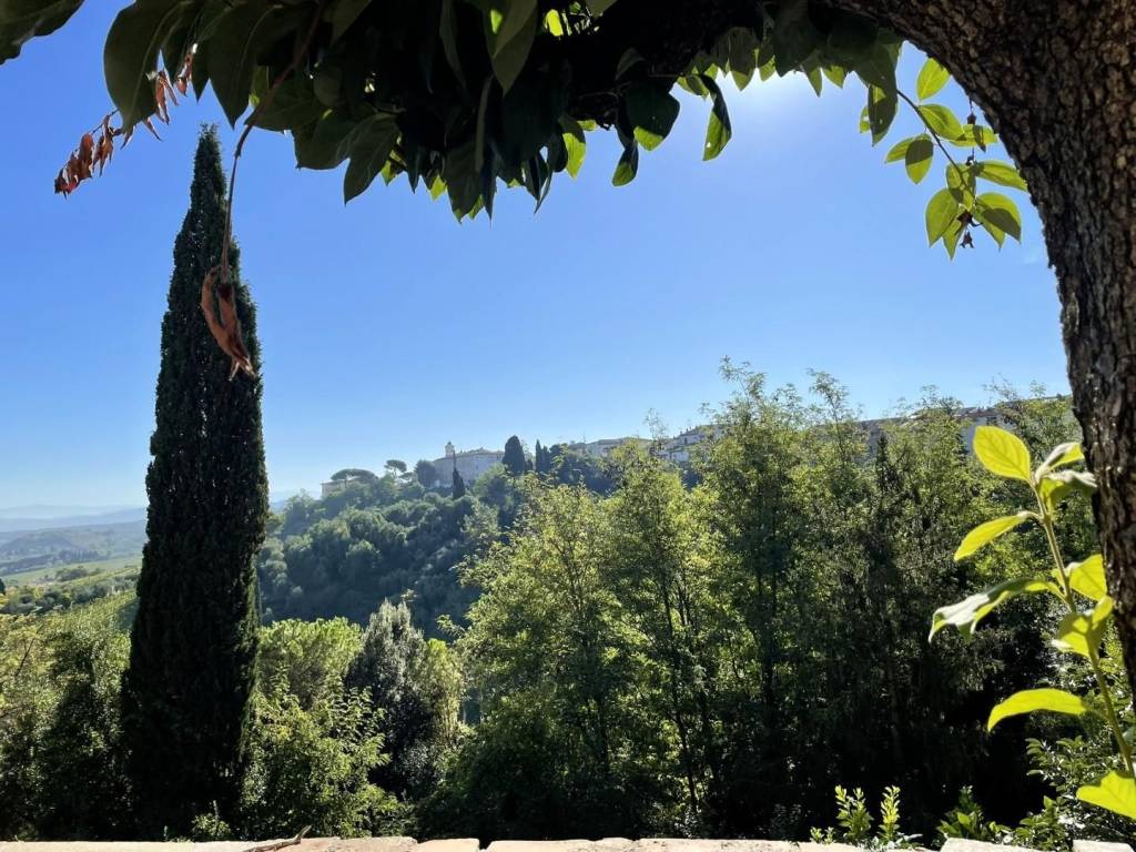 Casa indipendente a San miniato in Via Augusto Conti, - Foto 2