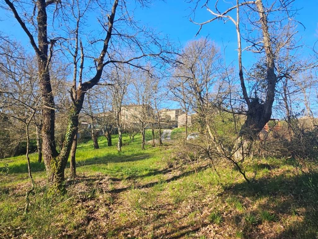 Rustico / casale a Roccastrada in Via dei Sodarini - Foto 2