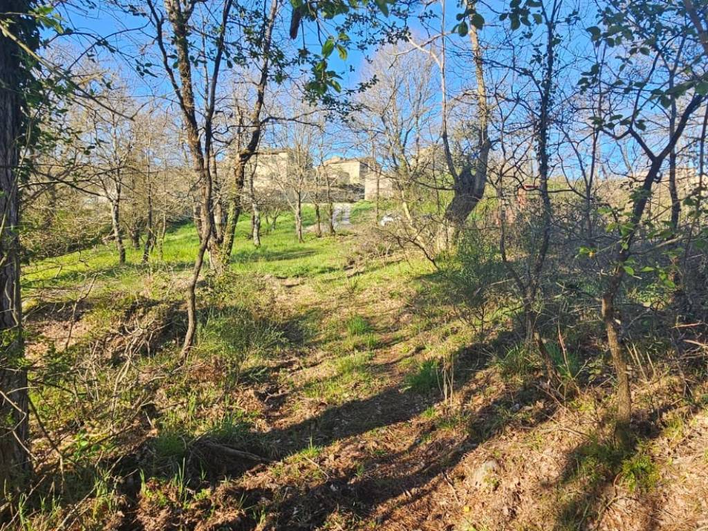 Rustico / casale a Roccastrada in Via dei Sodarini - Foto 3