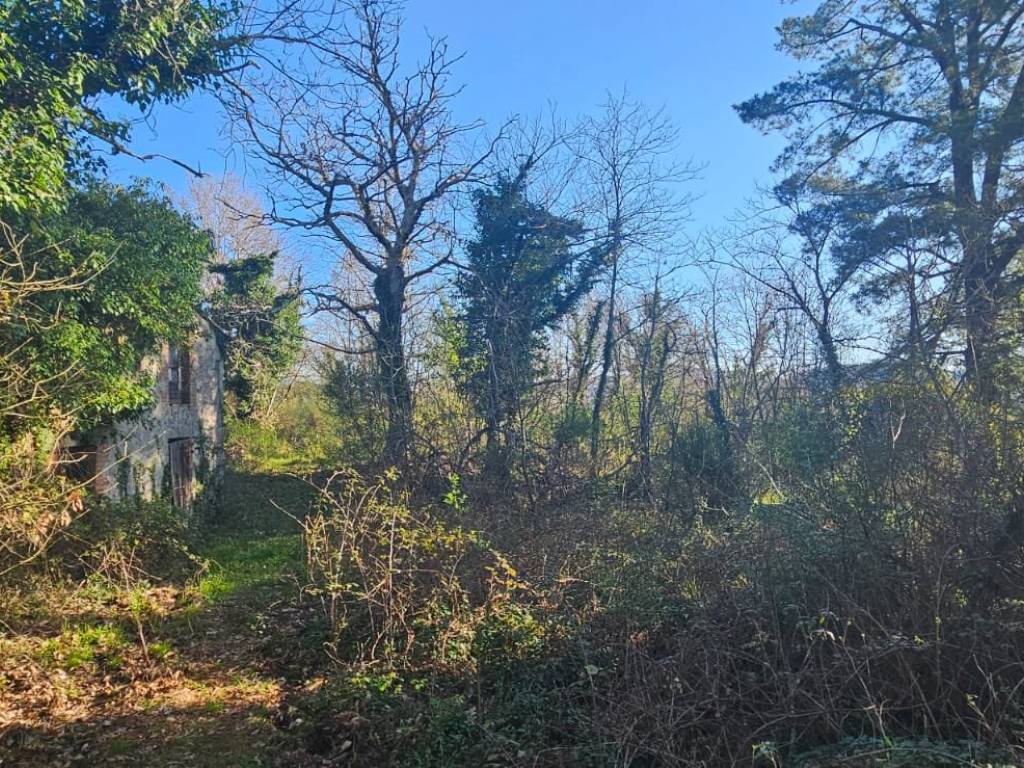 Rustico / casale a Roccastrada in Via dei Sodarini - Foto 4