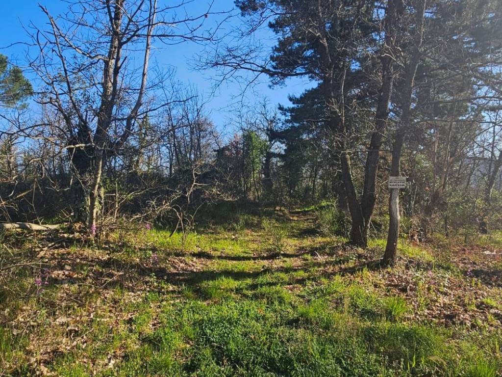 Rustico / casale a Roccastrada in Via dei Sodarini - Foto 5