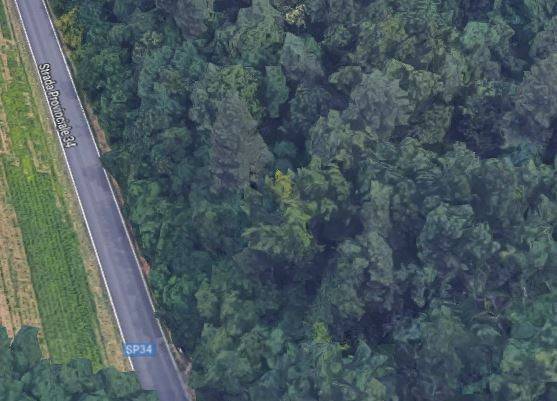 Terreno a Besnate in Strada Provinciale 34 - Foto 5