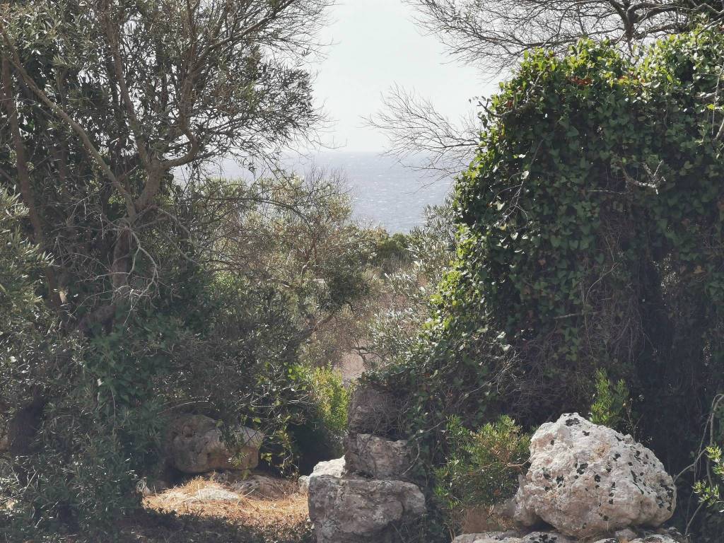 Terreno a Castrignano del capo in Strada Vicinale Marchiello - Foto 3