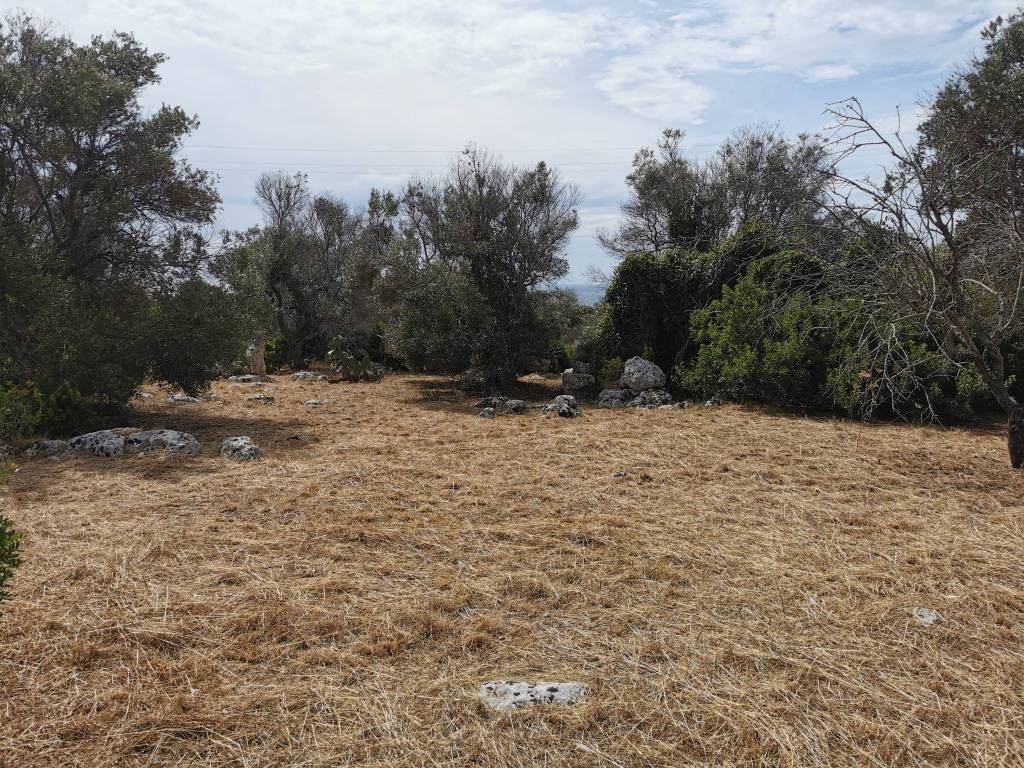 Terreno a Castrignano del capo in Strada Vicinale Marchiello - Foto 4