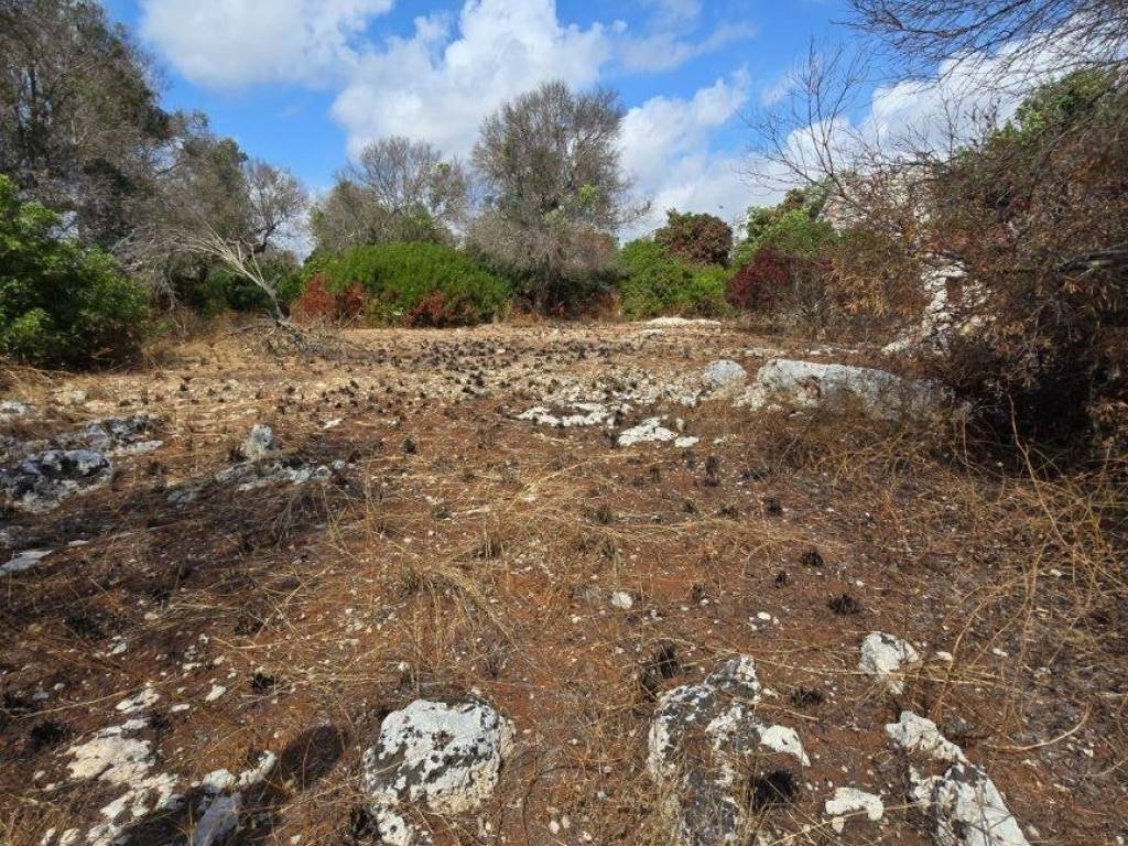 Terreno a Castrignano del capo in Strada Vicinale Marchiello - Foto 5