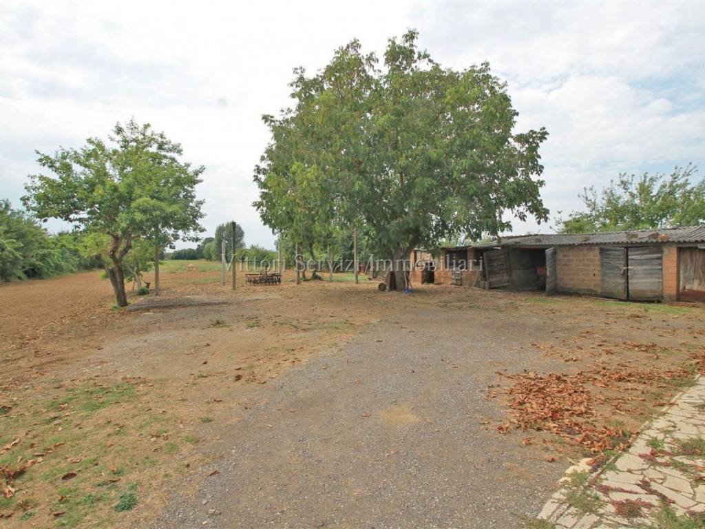 Casa indipendente a Sinalunga in santarello - Foto 4