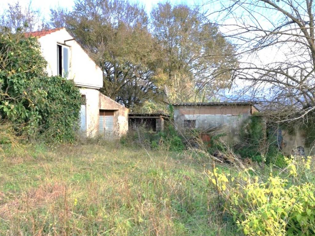 Rustico / casale a Casal velino in Via Rungi, 56 - Foto 5