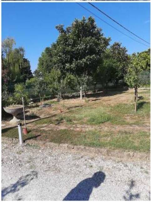 Villa a Mogliano veneto in Via Zero Branco, 4 - Foto 3