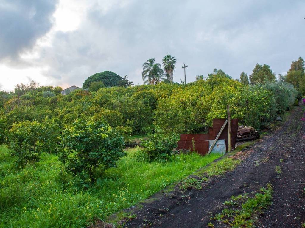 Terreno a Santa venerina in Via Caramma - Foto 3