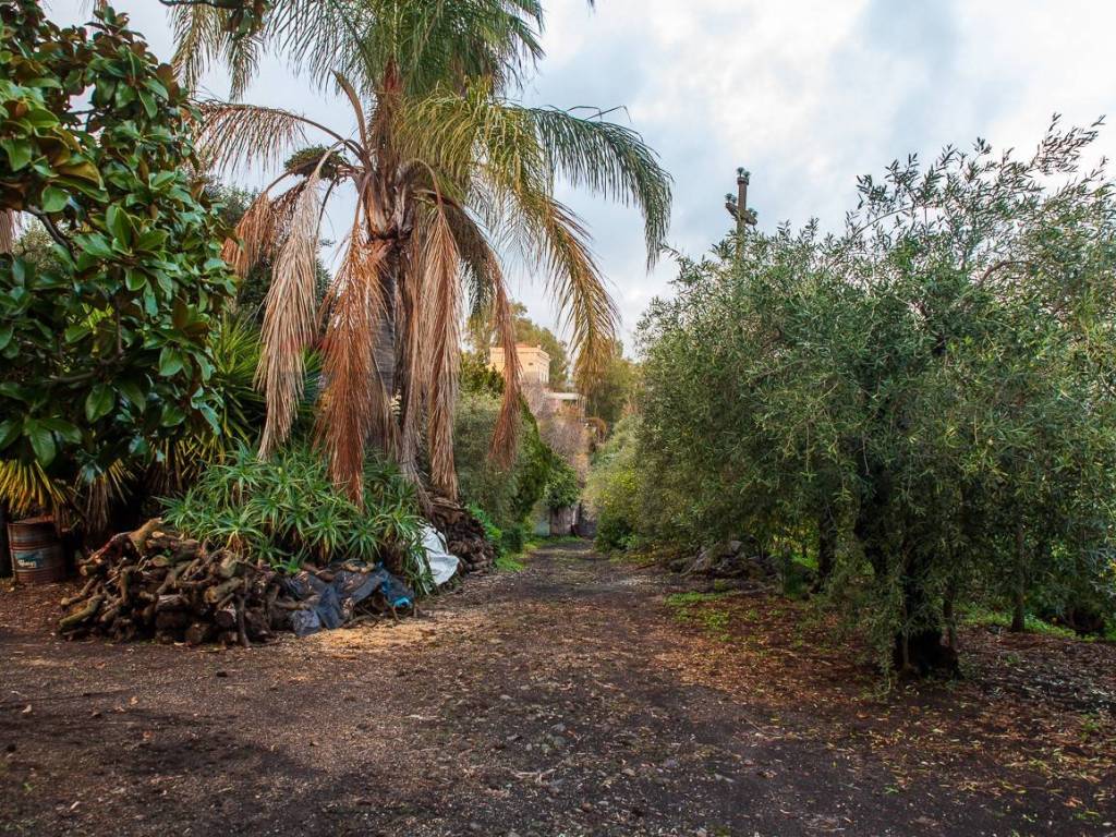 Terreno a Santa venerina in Via Caramma - Foto 4
