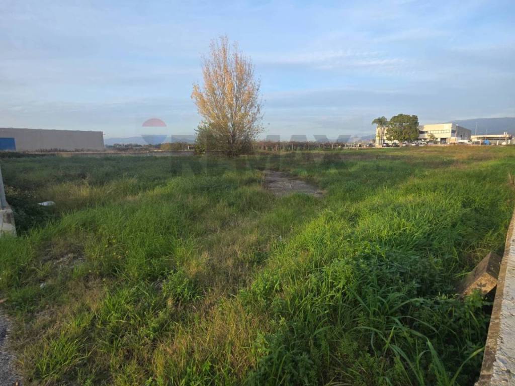 Terreno a Cisterna di latina - Foto 3