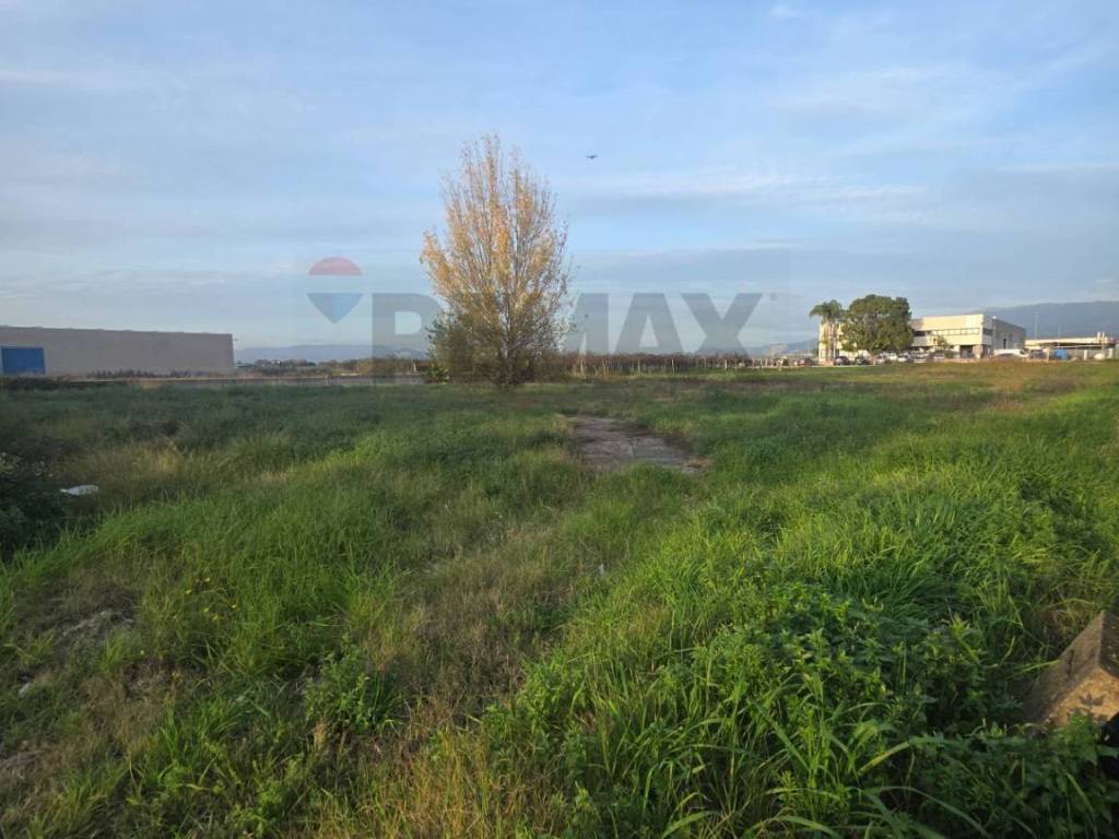 Terreno a Cisterna di latina - Foto 5