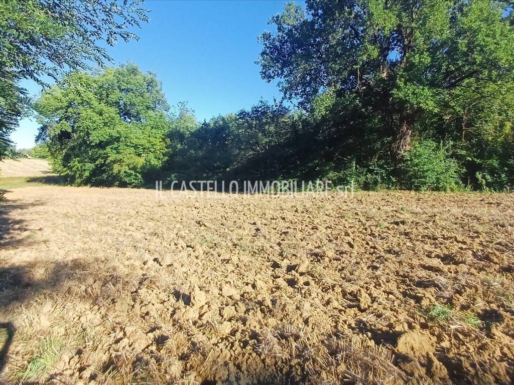 Terreno a Sarteano in viale Beato Alberto, 4 - Foto 2
