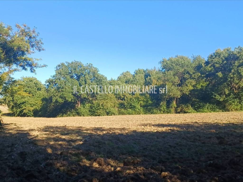 Terreno a Sarteano in viale Beato Alberto, 4 - Foto 3