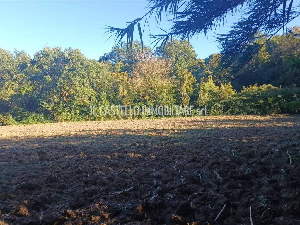 Terreno a Sarteano in viale Beato Alberto, 4 - Foto 4