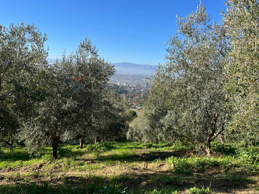 Terreno a Chieti in Strada Belvedere - Foto 3